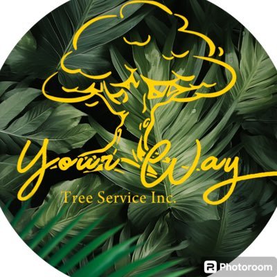 Providing one of the widest varieties of tree services in Southern California and now in Arizona! Call for a free estimate! 818.882.2335