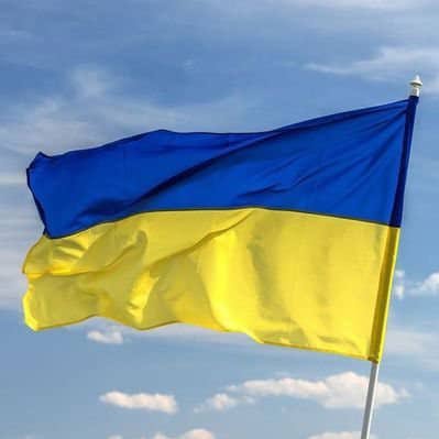 11227990017y's profile picture. Ukraine armed forces