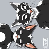 MoggyVerse V2 (@moggyverse) 's Twitter Profile