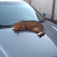 Gem Stoneš (@juracysjobs85) 's Twitter Profile
