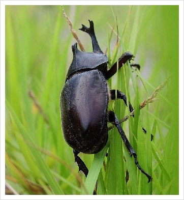 elite3109's profile picture. 만나서 반갑습니다.재미있게 소통하며 행복한 세상에서 살고 싶네요