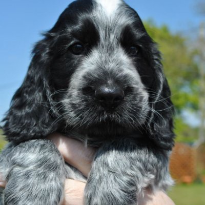 EchoHotelTango's profile picture. Adult Human Female.  Carer.
💜🤍💚 🇬🇧🇺🇦🇮🇱🧡🎗️