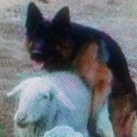 Danilo Turbay (@turbaydanilo) 's Twitter Profile Photo