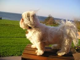 Creatures7776's profile picture. 