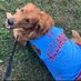 Alliance H.S. Cross Country (@ahsaviatorxc) Twitter profile photo Alliance H.S. Cross Country (@ahsaviatorxc) Twitter profile photo