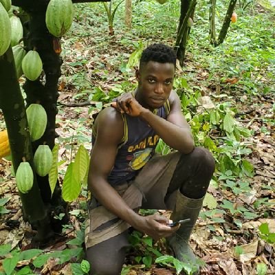 Cocoboy237's profile picture. cocoa farming promotion investment motivation