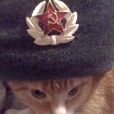 nichtsss_'s profile picture. universitária cansada