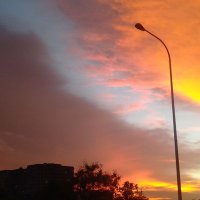 Makai42 (@makai_42) 's Twitter Profile