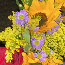 Fatima Tapia - @FatimaTapi74371 - Twitter