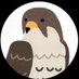M16A HAYABUSA (@m16a_hayabusa) Twitter profile photo M16A HAYABUSA (@m16a_hayabusa) Twitter profile photo