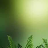 bisuk553's profile picture. Jai Shree ram  / Simple boy  / Sanatani  / ॐ नमः शिवाय 👹