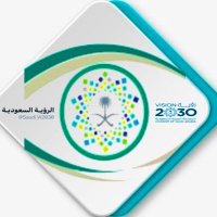 الرؤيـة السعوديـة (@saudi_vi2030) 's Twitter Profile Photo الرؤيـة السعوديـة (@saudi_vi2030) 's Twitter Profile Photo