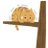 AcrophobicCat's profile image