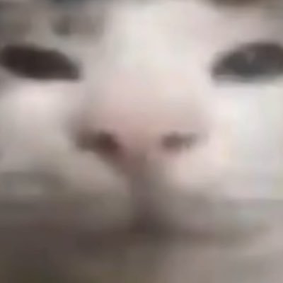 melonballさんのプロフィール画像