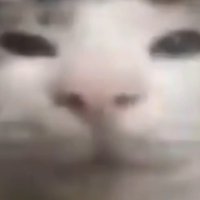 melonball (@rot8renesis) 's Twitter Profile Photo melonball (@rot8renesis) 's Twitter Profile Photo