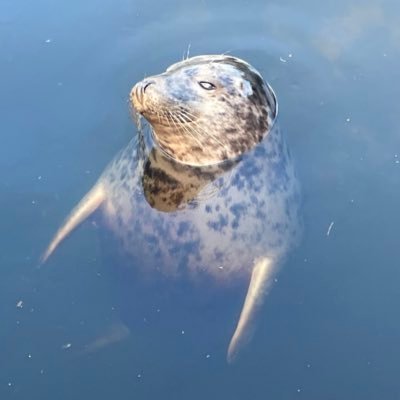 Magnyie's profile picture. 