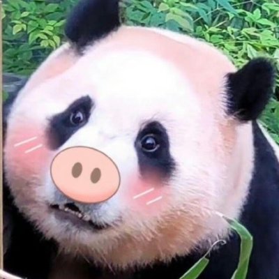 李崇萍NickyLeeさんのプロフィール画像