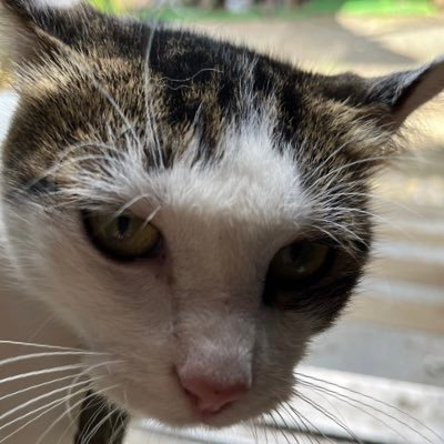 最近漸く人生を振り返っている。                  振り返った時、良い人生だったと思うことが出来るだろうか。