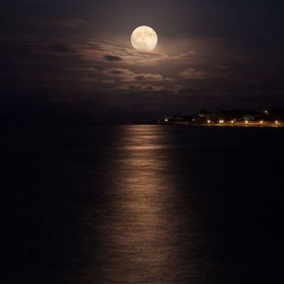 slonciro's profile picture.