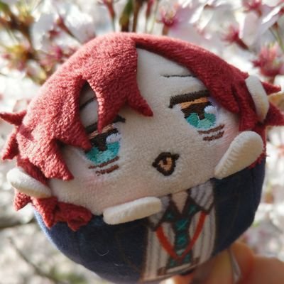 白蜜豆