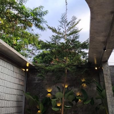 meiandini97's profile picture. Bertumbuh dan Berkembang.