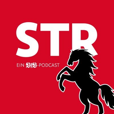 VfB STR Profile