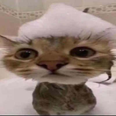 Chill_out_myguy's profile picture. who?