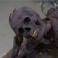 AllFlickering Against the Dying of the Light (@allflicker) 's Twitter Profile