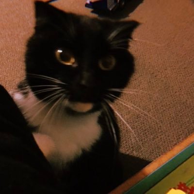 m1ss315's profile picture. nz