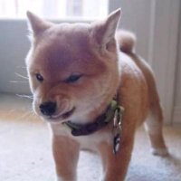 JC (@juniconn) 's Twitter Profile Photo JC (@juniconn) 's Twitter Profile Photo