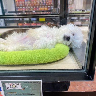 F4cGDfIG93z5z2j's profile picture. 