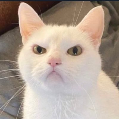 Soh7TV's profile picture. 