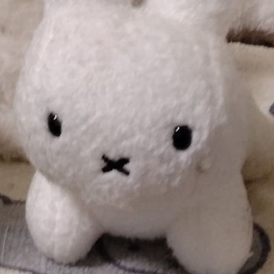 nyaaaanpoy's profile picture. とうふのうえに、ねこ