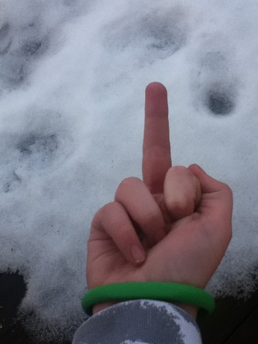 Andreasgri98's profile picture. 