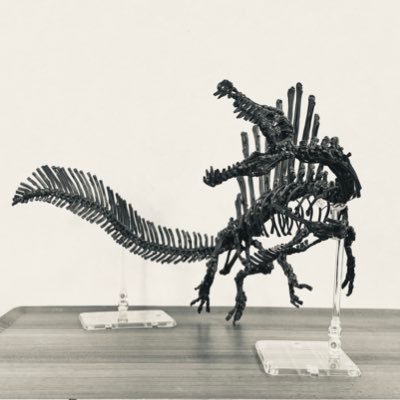 辰さんのプロフィール画像