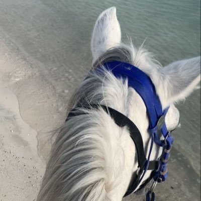 حينما اراد الله وصف نبيه ، لم يصف نسبه أو ماله أو شكله ، لكن قال تعالى