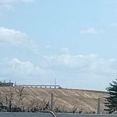 hakan1903981's profile picture. 