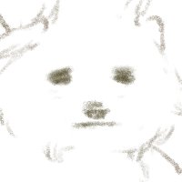 Minami (@deepseabed_ddan) 's Twitter Profile