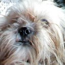 Charlotte Abu Reyes - @charlie4575 - Twitter