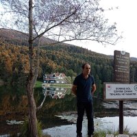 bekir (@bekir85208520) 's Twitter Profile