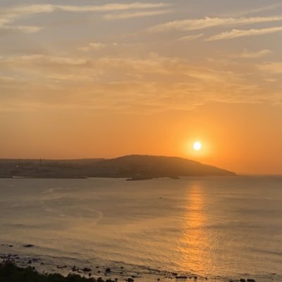 faouzi_mohamed's profile picture. 