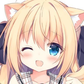九条だんぼさんのプロフィール画像