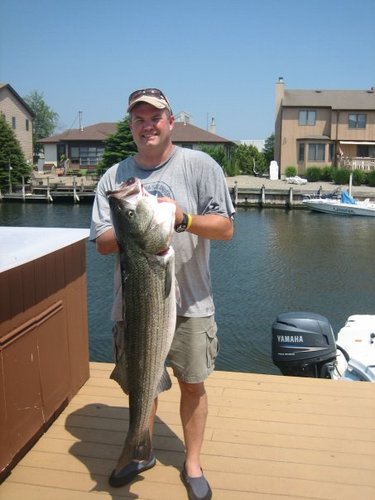 tombrennan105's profile picture. Dad, die hard Penn State grad, Philly sports fan