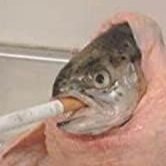 전국바위자고새연합さんのプロフィール画像
