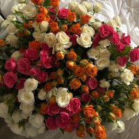 سوما العبدالله (@sooomo333) 's Twitter Profile
