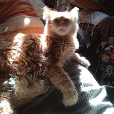 DucaMale48868's profile picture. La vida que vindrà