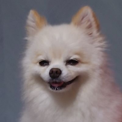 ゴリヤさんのプロフィール画像