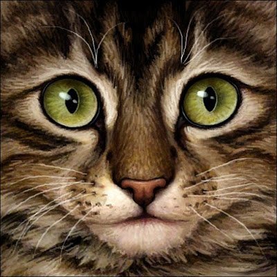 SGTC170's profile picture. 