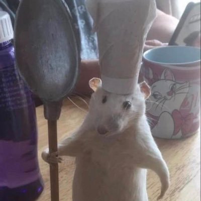 발닦개さんのプロフィール画像