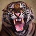 PREDATOR VIDS (@predatorvids) Twitter profile photo PREDATOR VIDS (@predatorvids) Twitter profile photo